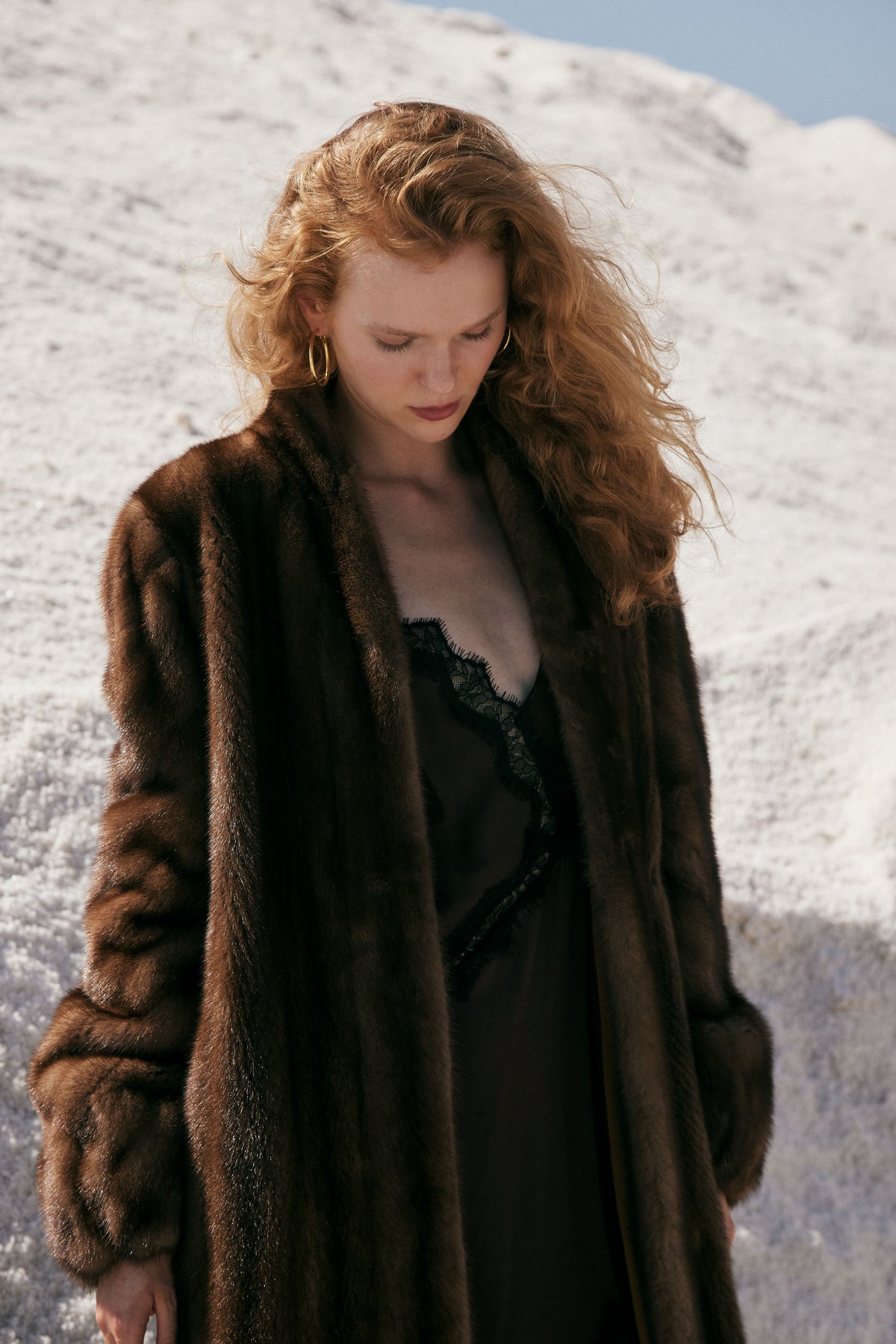 DISCOVER THE COLLECTION